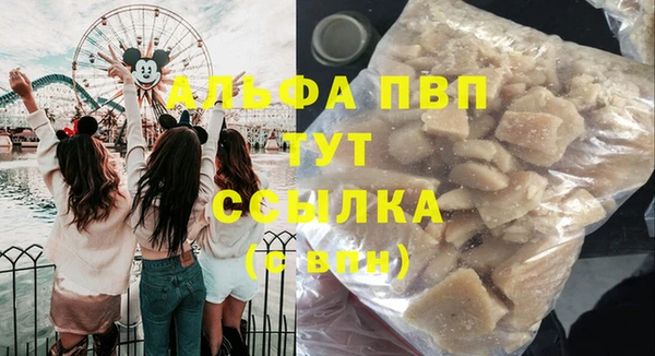 ПСИЛОЦИБИНОВЫЕ ГРИБЫ Бородино