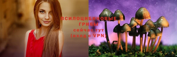 СК Богородицк