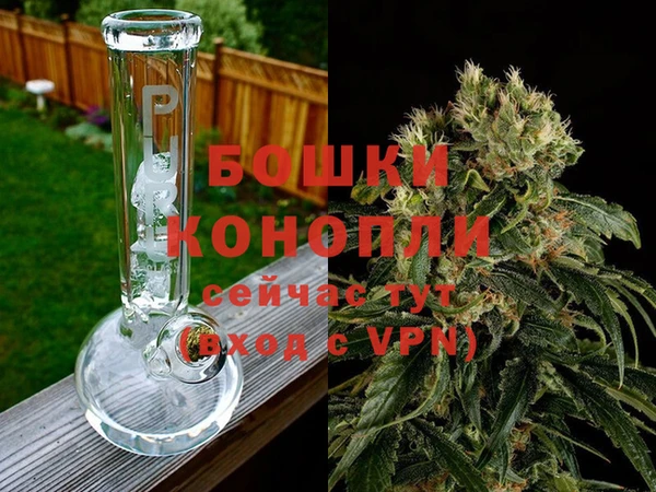 ПСИЛОЦИБИНОВЫЕ ГРИБЫ Бородино