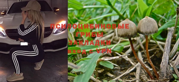 Альфа ПВП Бугульма