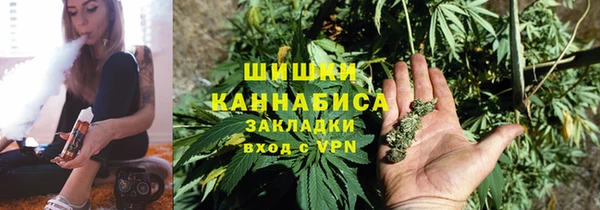 ПСИЛОЦИБИНОВЫЕ ГРИБЫ Бородино