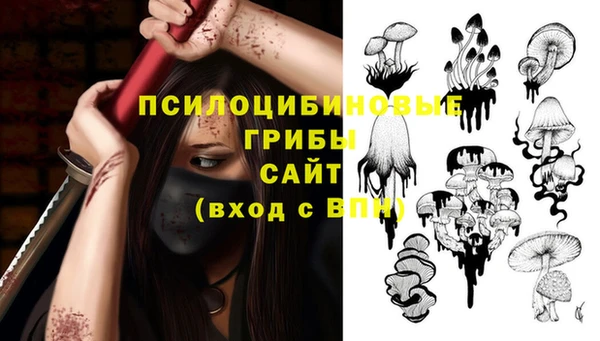 прущие крисы Бронницы