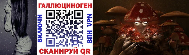 Галлюциногенные грибы прущие грибы blacksprut Белая Калитва
